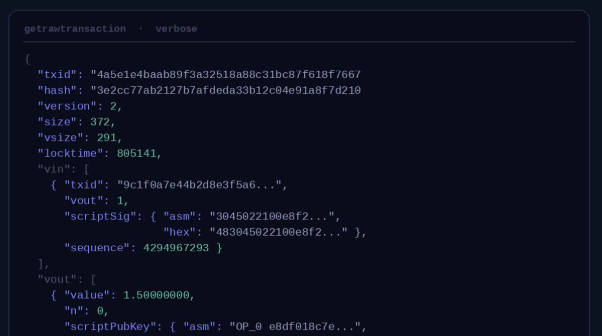 Raw Bitcoin transaction data as a node returns it